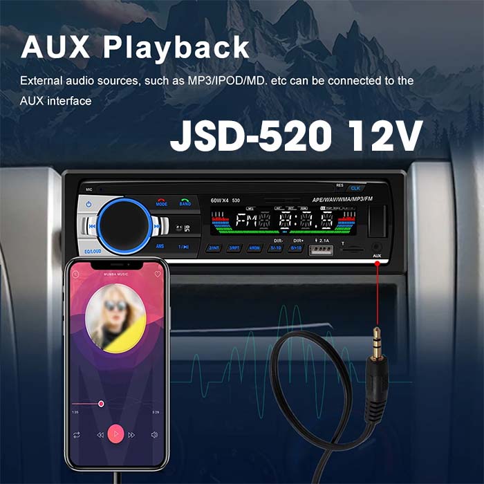 Amply JSD-520 12V